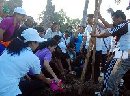 SAMBUT PUNCAK HKG PKK KE-40, PKK KOTA DENPASAR LAKSANAKAN SENAM BERSAMA DAN PENGHIJAUAN